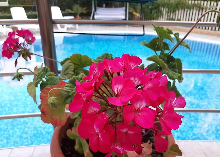 شقة فندقية Aquaria 4*