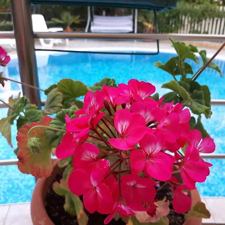 Hotel apartamentowy Aquaria 4*